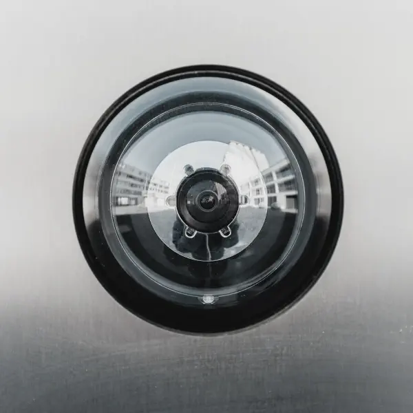 Immagine rappresentativa Egida